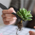 15 Pieces Succulent Plants Tools - Plant Repotting Mat and Storage Bag,Mini Garden Transplanting Tools for Indoor Outdoor Miniature Fairy Flower P...