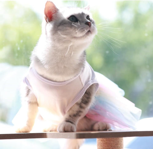 ANIAC White Dog Dress,Summer Dog Clothes for Small Dog Girl, Spring Puppy Princess Dress, Cat outfit,Pet Clothing for Cats Kitten Chihuahua Yorkie...
