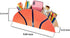 Wood Basketball Pencil Holder Basketball Ball Kids Desk Organization - Kids Pen Holder, Pencil Holder for Kids Desk, Kids Table Organizer, Pencil ...