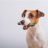 Bonies Natural Calming Formula Small-Sized Single Bone - Contains Chamomile & Lavender, Help Anxiety, Excessive Barking & Trembling, Chicken Flavo...
