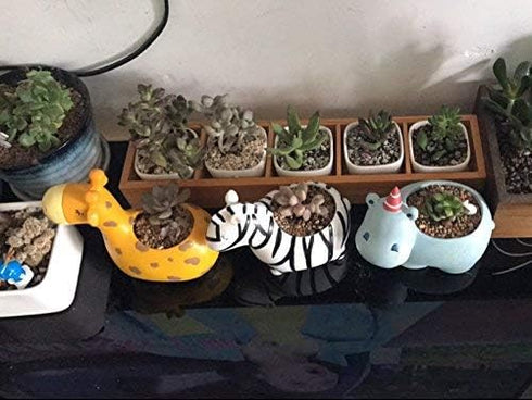 Succulent Pots,Cute Animal Giraffe Shaped Indoor Air Plant Holder Plant Pots-Plants Not in Included (4.92 inch Tall)...