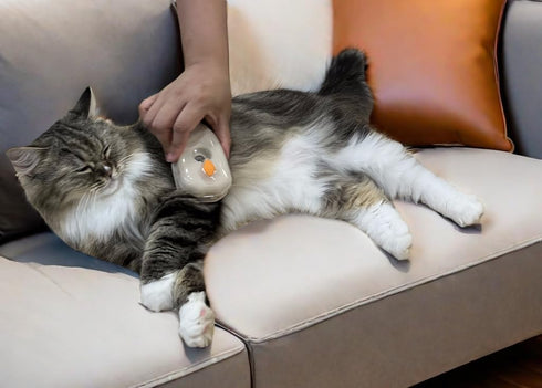4-in-1 UV Spray Massage Grooming Brush, Bulit-in Cat Moss Lamp, Nano Spray Steam Brush for Removing Loose Fur, Water Brush for Long or Short Haire...