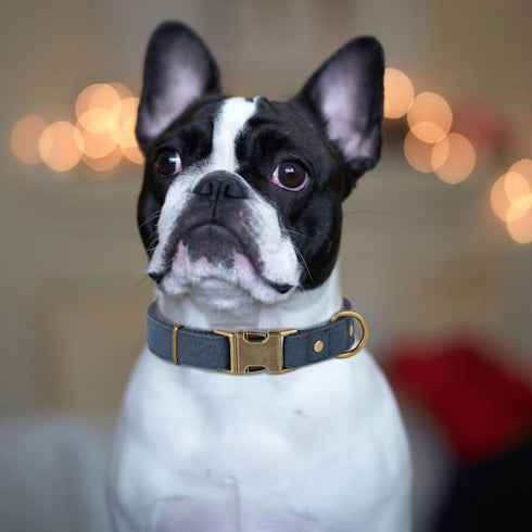 PET ARTIST Nylon Dog Collar for Large Dogs, Heavy Duty Dog Collar with Quick Release Metal Buckle, Soft Padded Blue Dog Collar, Adjustable Durable...