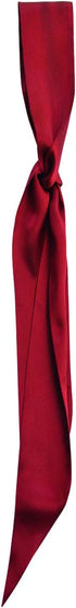 SilRiver Women's Silk Satin Skinny Scarf Long Necktie Sash Tie Headdress Fashion Accessories...