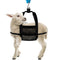Calf Weighing Sling Goat Sling, Hanging Livestock Scale, Small Animal Sling Carrier, Calf Scale Hanging Weight with Adjustable Straps for Weighing...