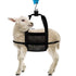 Calf Weighing Sling Goat Sling, Hanging Livestock Scale, Small Animal Sling Carrier, Calf Scale Hanging Weight with Adjustable Straps for Weighing...