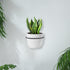 TreeLen Flower Plant Holder Ring Wall Mounted,4 Inch Plant Wall Hanger Rings,Metal Plant Holders Wall Planter Hook 3 Pack Black...