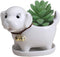 Cute Dog Succulent Planter Pot with Drainage Tray, White Ceramic Flower/Cactus Container, Animal Bonsai Holder for Air Plants...