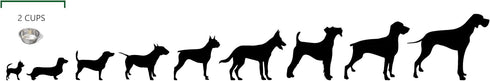 Greendale Set 2 (2 Cup Capacity) - Stainless Steel Metal Dog Bowls - Perfect for Dog Food, Water and as Replacement Bowls for Elevated Stands...