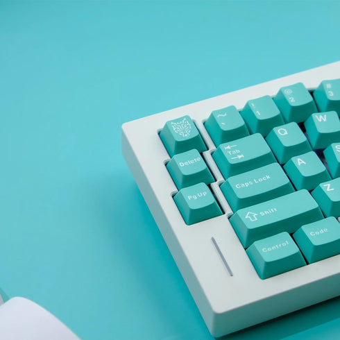 114 Keys PBT Doubleshot Keycaps Cherry Profile Mint Blue Keycap Set Fit for Cherry Mx Switches Alice Keyboard Mechanical Keyboards...