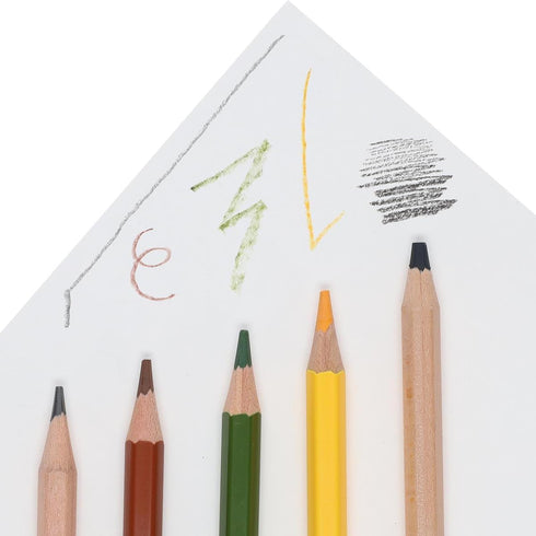 PRO ART Drawing Paper, 9-inch x 12-inch, 25 Sheet Wire Bound Pad, White...