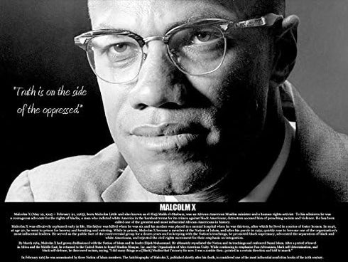 777 Tri-Seven Entertainment Malcolm X Poster Truth is On Side of The Oppressed, 24" x 18", Multicolor...