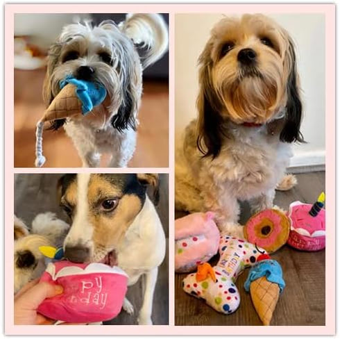 DoreenBow 5 Pack Dog Birthday Toys for Small Dogs Birthday Cake Squeaky Dog Toy Chew Toys Puppy Teething Toys Plush Birthday Box Gift for Dogs...