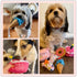 DoreenBow 5 Pack Dog Birthday Toys for Small Dogs Birthday Cake Squeaky Dog Toy Chew Toys Puppy Teething Toys Plush Birthday Box Gift for Dogs...