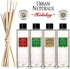 Urban Naturals Holiday Cranberry & Pine Scented Oil Reed Diffuser Refill | Cranberry, Holly Berries and Frosted Fir Needles | Includes a Free Set ...