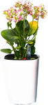 7 inch Plastic Self Watering Plant Pots with Water Level Indicator White Set of 1, Modern Decorative Flower Pots for All House Plants, Flowers, He...