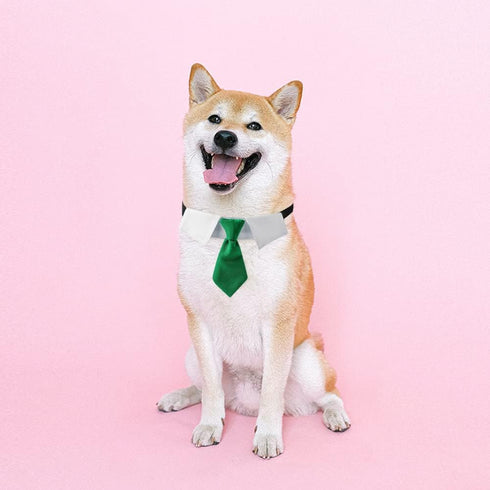 Dog Collar, Soft Polyester Dog Bow Tie with Metal Buckle for Large, Medium and Small Boys Cat Dog Tie (Medium, Green/White)...