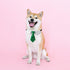 Dog Collar, Soft Polyester Dog Bow Tie with Metal Buckle for Large, Medium and Small Boys Cat Dog Tie (Medium, Green/White)...