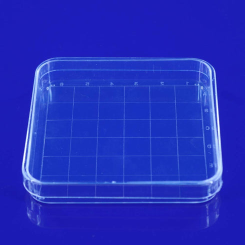 Scicalife 10 Sets Square Petri Dish with Lids, Plastic Material, Container for School Lab Science Experiment...