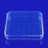 Scicalife 10 Sets Square Petri Dish with Lids, Plastic Material, Container for School Lab Science Experiment...