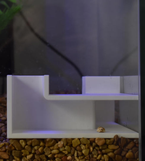 Aquarium Underground Tunnel | Fish & Shrimp Hideout for Aquariums | Unique Underground Viewing Tunnel | Made in USA (Corner Tunnel, White)...