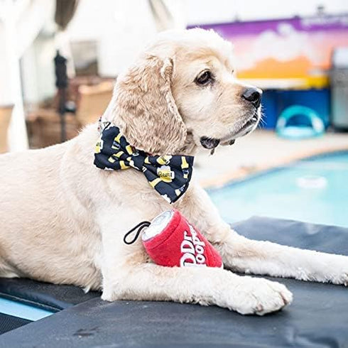 Huxley & Kent for Dogs | Dr Pooper (Large) | Power Plush Dog Toy with Squeaker | Funny Dog Toy | Cute Dog Toy | H&K Squeaky Dog Toy...