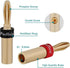 Preffair 8 Pcs HiFi Audio Locking Banana Plugs for Speaker Cable Audiophile 24K Gold Plated Double Screw Loudspeaker Bi-Wire Connector Terminal wi...