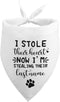 I Stole Their Heart Now I'm Stealing Their Last Name Funny Dog Bandana Adoption Day Gifts for Dogs Pet Scarf for Dog Photo Prop Pet Accessories fo...