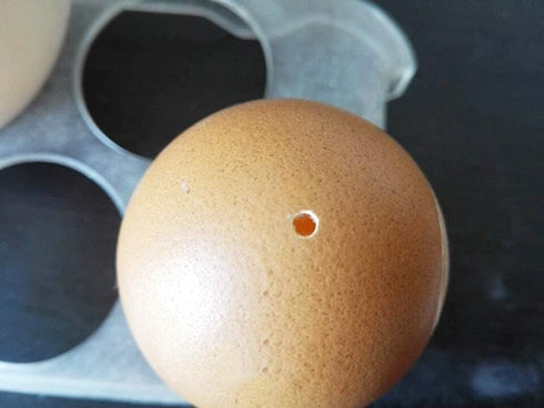 1 Pack Hard Boiled Egg Piercer simple easy egg hole puncher egg poacher Endurance Hole (304 stainless steel+new material PP bottom)Anti-sliding ca...