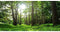 AWERT 30x12 inches Forest Terrarium Background Tropical Aquarium Background Green Tree Reptile Habitat Background Durable Polyester Background...