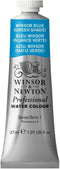 Winsor & Newton Professional Watercolor, 37ml (1.25-oz) Tube, Winsor Blue Green Shade...