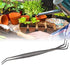 Fdit 2 in 1 Stainless Steel Bonsai Tools Gardening Tool Root Rake Tweezers for Bonsai Planter...