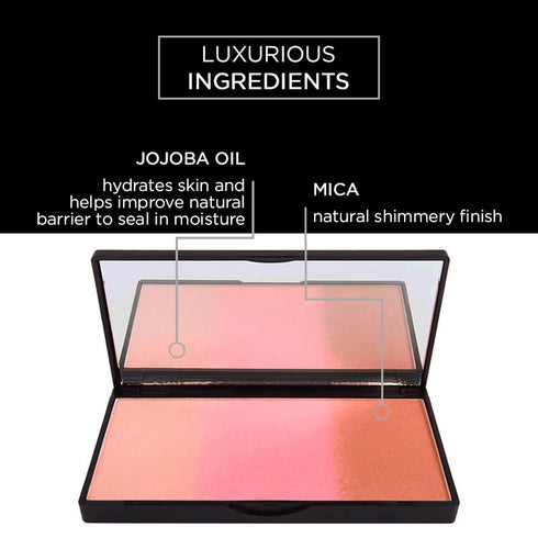 Bronzed and Beautiful Pressed Makeup Powder by Pure Cosmetics – All-in-One, Ombre Mineral-Based Highlighter, Blush, Contour, Bronzer & Glow Kit - ...