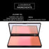 Bronzed and Beautiful Pressed Makeup Powder by Pure Cosmetics – All-in-One, Ombre Mineral-Based Highlighter, Blush, Contour, Bronzer & Glow Kit - ...
