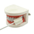 Oral Mouth Swabs Sponge- Untreated and Unflavored for Baby & Elderly Oral Cleaning White 150 Counts...