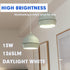 A19 LED Light Bulbs 100 Watt Equivalent, E26 LED Daylight White 5000K 13W Super Bright 1265 Lumen E26 Standard Medium Base Non-Dimmable, Bright Li...