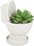 Toilet Shaped Planter Small Succulent Pot Small Succulent Pots with Drainage, Indoor Plant Container Planter with Drainage Hole Home Office Desk G...