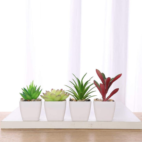 Nubry Mini Fake Succulent Plants Artificial Plastic Succulents Potted Faux Assorted Plants for Home Office Table Decoration, Set of 6 (White Plast...