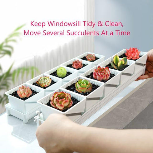 Breathable Succulent Pots with Air-pruning,Succulent Planters Keep Home Tidy & Clean,Plastic 3 Inch Cactus Pots,Set of 1 Windowsill Planter...