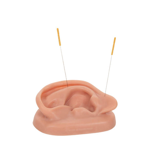 3B Scientific N15/1R SKINlike Silicone Right Acupuncture Ear Model, 3.7" x 2.4" x 1.6"...
