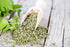 Health Embassy Lovage Leaf | Levisticum Officinale L | 100% Natural (50g)...