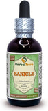 Herbal Terra Sanicle (Sanicula Europaea) Glycerite, Dried Herb Alcohol-Free Liquid Extract 2 oz...