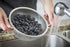 Tablecraft 2.5 Quart Colander with Handles, Stainless Steel...