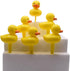Oasis Supply Duck Picks, 12-Pack (Duck Pick (12 Count))...