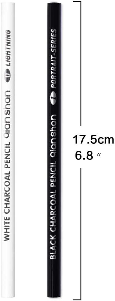 qianshan 2 Pcs Black White Color Charcoal Pencils, Professional Hight Quality Sketch Highlight Charcoal Wooden Pencils for Artist Drawing, Sketchi...