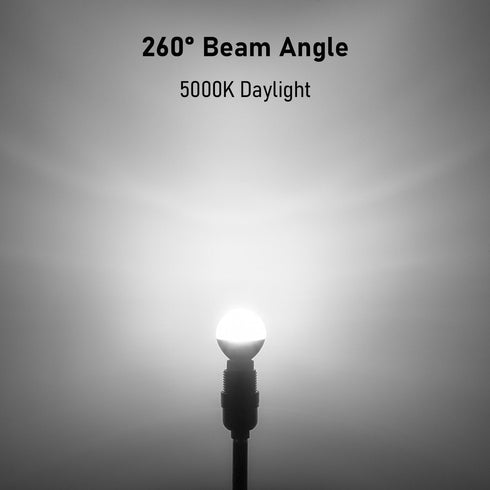 G16.5 Light Bulb LED, 60W Equivalent, Small Round Light Bulbs, E12 Candelabra Base, Dimmable, Daylight 5000K, 7W 600 Lumens, Type G Light Bulb, Cl...