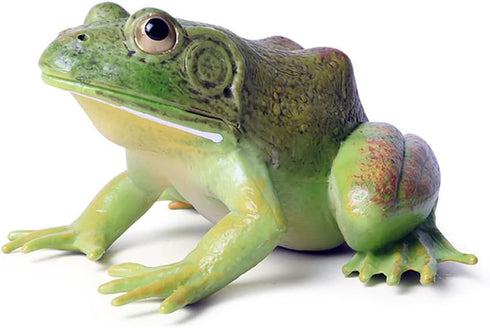 Simulated Tree Frog Model Figure Toy, Realistic Bullfrog Figurines Collection Playset Science Educational Props...