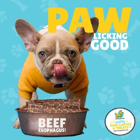 hotspot pets Beef Dog Treats Esophagus (6 Inches) - 100% Natural Healthy Chews for Dogs - Meat Jerky Snack with No Preservatives or from Grass Fed...