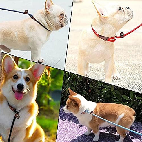 MayPaw Slip Lead Control Leash for Dogs No Pull, 13+ Colors Classic Dog Leash 7FT Pet Slip Leash, 1/4” Rope Leash for Small Medium Animals dark gr...
