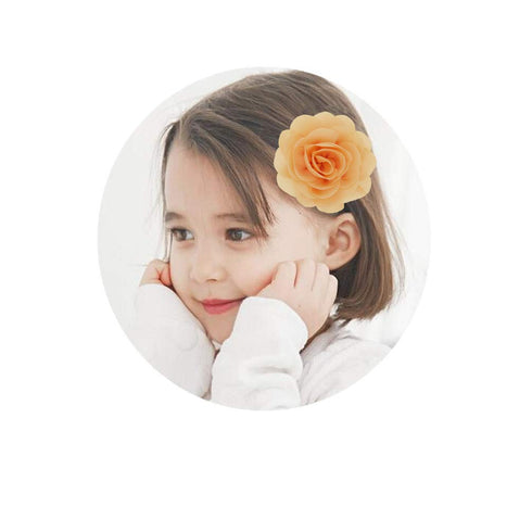 inSowni 24PCS Alligator Hair Clips 3" Chiffon Flower Barrettes Hair Bow Accessories for Toddlers Baby Girl Kids...